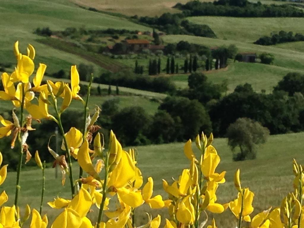 Agriturismo Santa Maria Pienza Esterno foto