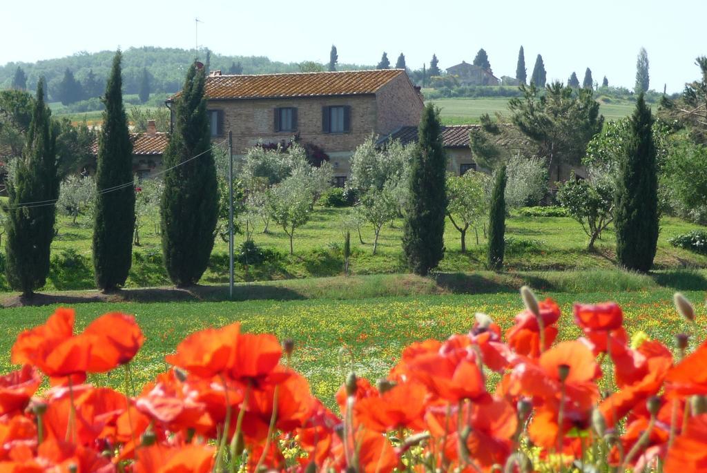 Agriturismo Santa Maria Pienza Esterno foto