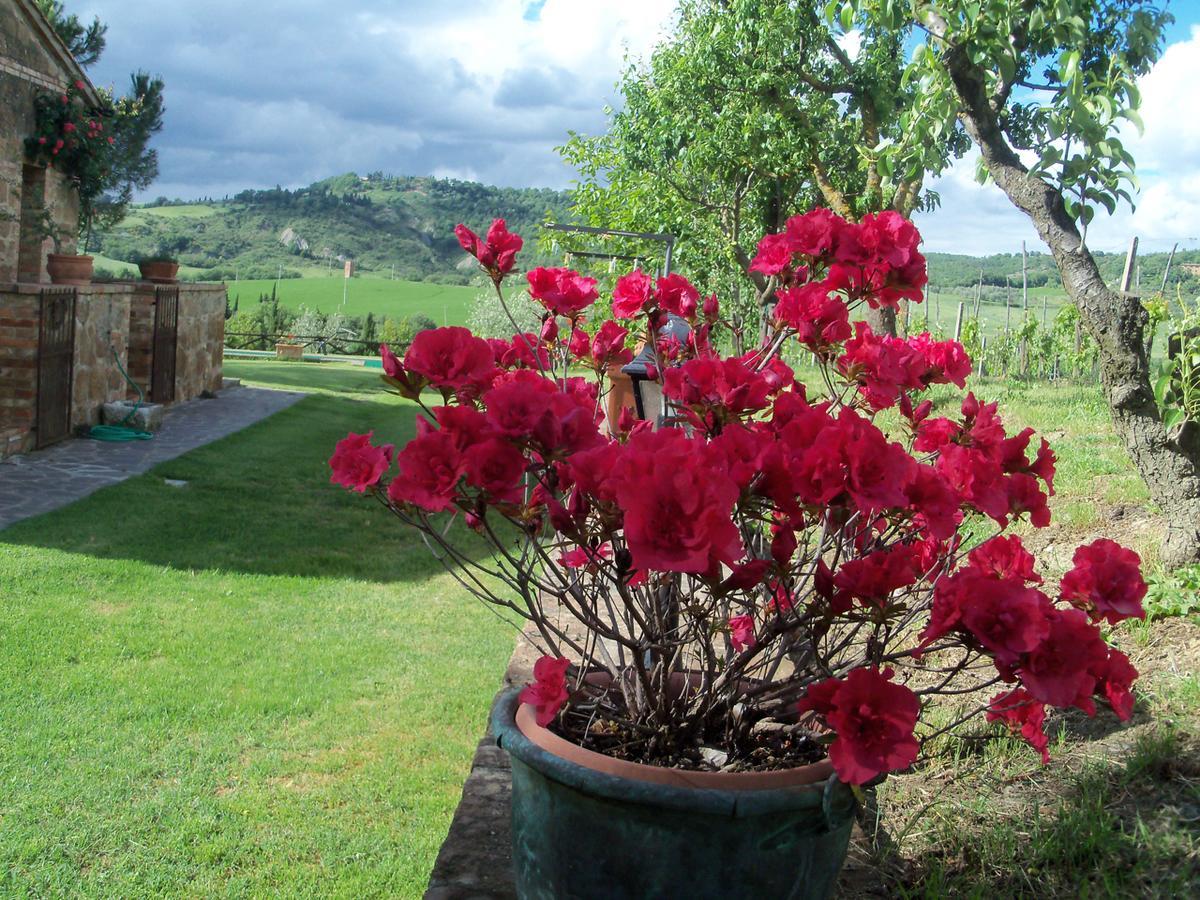 Agriturismo Santa Maria Pienza Esterno foto