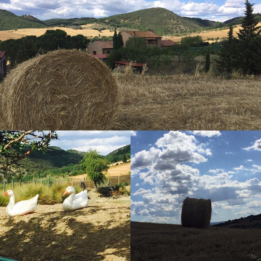 Agriturismo Santa Maria Pienza Esterno foto